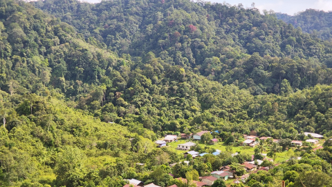 Lanskape Desa long jalan dari terlihat dari bukit